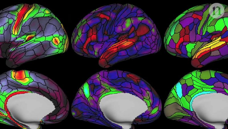 نقشه مغزی چیست